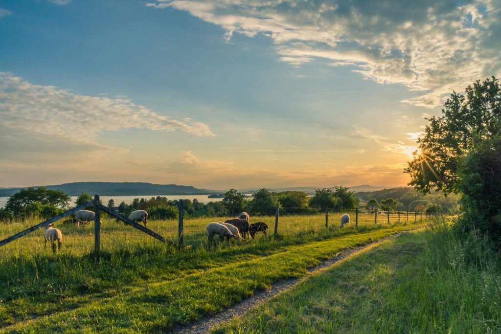 Rural Living